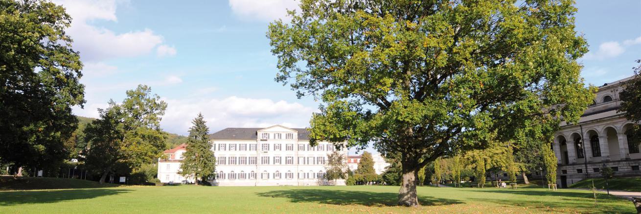 Elisabethenhof, Röder Training, Bad Brückenau
