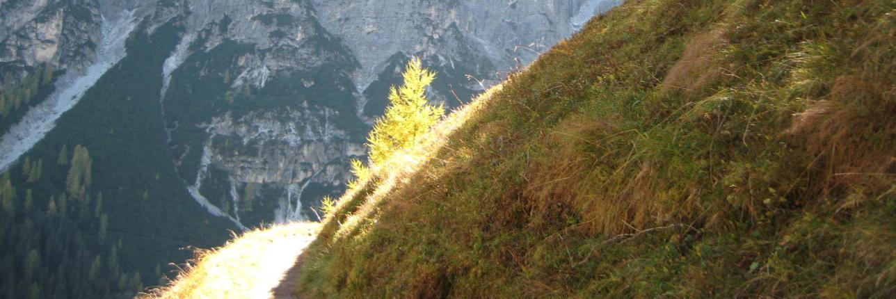 Bildung versetzt Berge Claim Röder Training